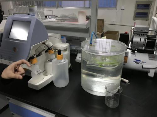 貝愛益生全國合伙人齊聚科爾工廠，零距離見證羊初乳CPP復合粉安全生產與網絡安全技術研發